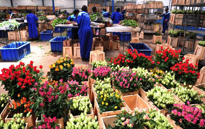 How Droply Simplifies the Import flowers from Kenya process