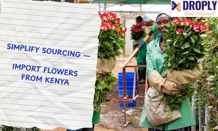 import flowers kenya
